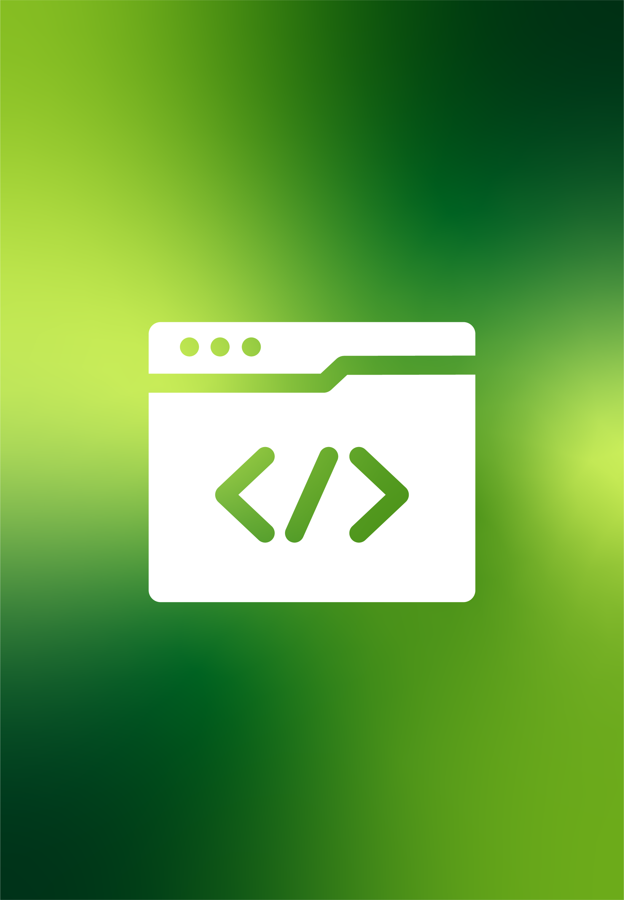 Website Development